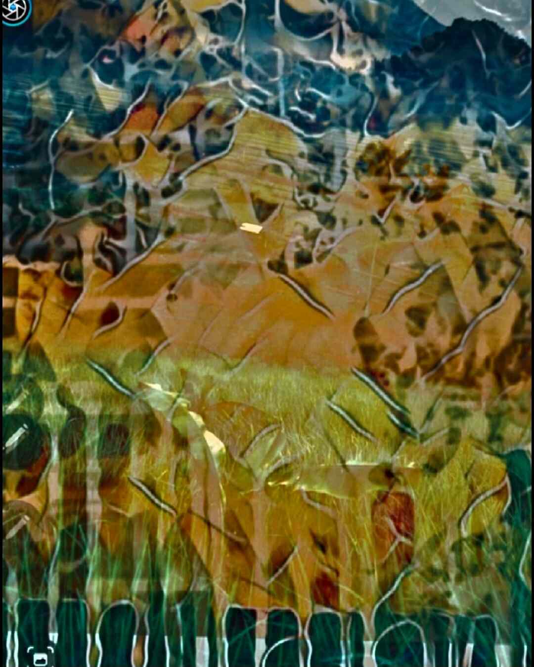 Denver_ artwork