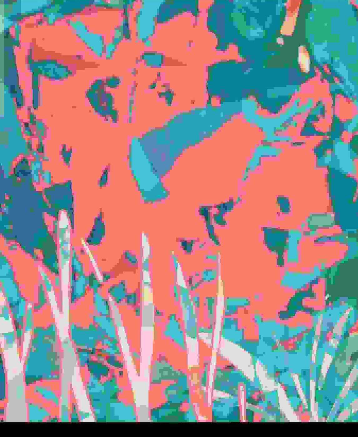 Samantha_ artwork